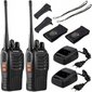 Walkie Talkie Baofeng BF-888s HT цена и информация | Raadiosaatjad | kaup24.ee