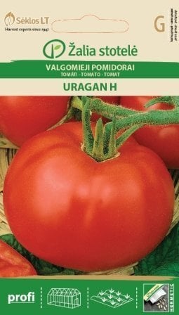 Tomat Uragan H цена и информация | Köögivilja-, marjaseemned | kaup24.ee
