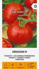 Помидоры Uragan H, 0.1 г цена и информация | Семена овощей, ягод | kaup24.ee