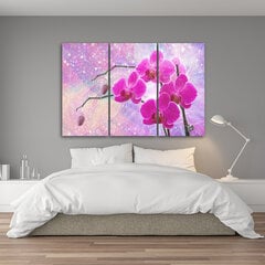 Печать холста, дзен орхиды 39,99 цена и информация | Картины, живопись | kaup24.ee