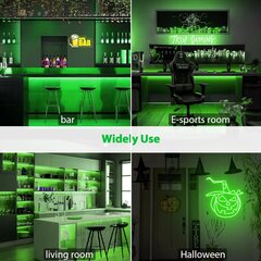 LED Neon Flexible 5m., roheline цена и информация | Светодиодные ленты | kaup24.ee