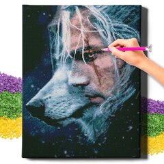 Teemant mosaiik tikkimine The Witcher 5D Diamond Painting Oh Art! 40x50 cm цена и информация | Алмазная мозаика | kaup24.ee