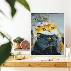 Алмазная Мозаика на Раме Три кошки 5D Diamond Painting Oh Art! 40x50 cm цена и информация | Алмазная мозаика | kaup24.ee