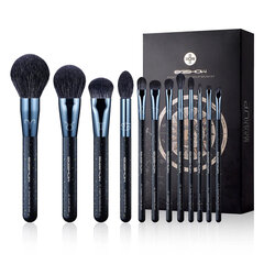 Eigshow Beauty ZODIAC series 12-piece professional makeup brush set цена и информация | Кисти для макияжа, спонжи | kaup24.ee