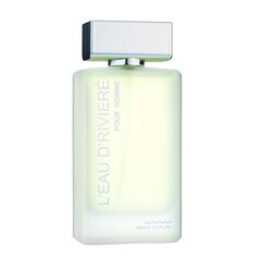 Parfüümvesi L'Eau D'Riviere Pour Homme Fragrance World meestele, 100 ml hind ja info | Meeste parfüümid | kaup24.ee