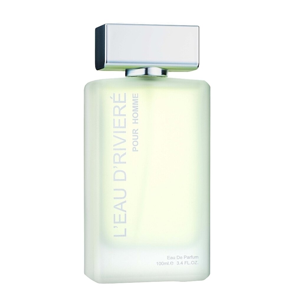 Parfüümvesi L'Eau D'Riviere Pour Homme Fragrance World meestele, 100 ml цена и информация | Meeste parfüümid | kaup24.ee