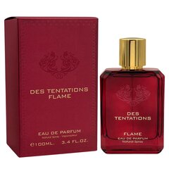 Parfüümvesi Des Tentations Flame Fragrance World meestele, 100 ml цена и информация | Мужские духи | kaup24.ee