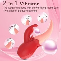 Küüliku vibraator 2in1 hind ja info | Vibraatorid | kaup24.ee