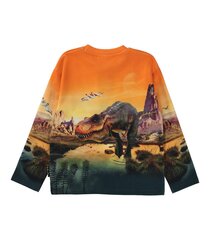 Детская толстовка Mountoo Molo, оранжевый/серый цена и информация | Свитеры, жилетки, пиджаки для мальчиков | kaup24.ee