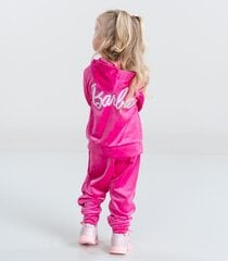 Детский спортивный костюм Barbie 811233 01, фуксия 811233*01-006 цена и информация | Комплекты для девочек | kaup24.ee