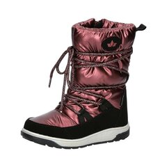 Talvesaapad lastele Lico 720512*01, punane цена и информация | Детская зимняя обувь | kaup24.ee