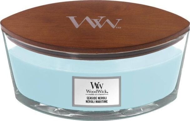 WoodWick lõhnaküünal Seaside Nerol Elipsa 453.6 g hind ja info | Küünlad, küünlajalad | kaup24.ee