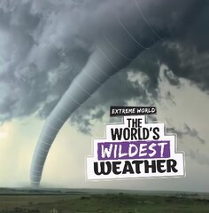World's Wildest Weather цена и информация | Книги для подростков и молодежи | kaup24.ee