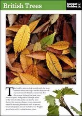 British Trees: The Instant Guide hind ja info | Tervislik eluviis ja toitumine | kaup24.ee