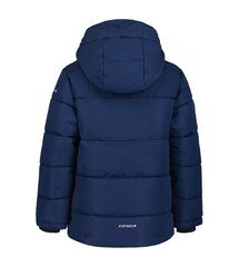 Детская куртка Icepeak Louin 300 г 50035-4*392 6438549482751, тёмно-синяя цена и информация | Куртки для мальчиков | kaup24.ee