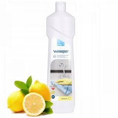 Wessper rasvaeemaldaja, 550 ml цена и информация | Очистители | kaup24.ee