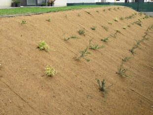 Kookoskiust võrk rull 1,5 x 20 m (30 m2) hind ja info | Aiad ja tarvikud | kaup24.ee