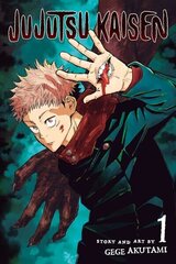 Комикс Manga Jujutsu kaisen Vol 1 цена и информация | Комиксы | kaup24.ee