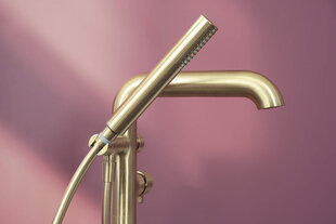 Bath mixer, freestanding, with shower set цена и информация | Смесители | kaup24.ee