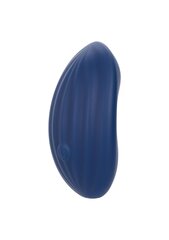 Vibraator Cashmere Velvet Curve, sinine hind ja info | Vibraatorid | kaup24.ee