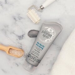 PLANET SPA Маска для лица с минералами Мертвого моря, 75мл, AVON цена и информация | Маски для лица, патчи для глаз | kaup24.ee