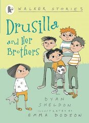 Drusilla and Her Brothers цена и информация | Книги для подростков и молодежи | kaup24.ee