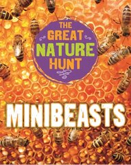 The Great Nature Hunt: Minibeasts hind ja info | Noortekirjandus | kaup24.ee