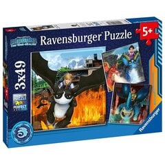 Pusle Ravensburger Kuidas treenida oma draakonit, 3x49tk цена и информация | Пазлы | kaup24.ee