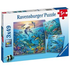 Pusle Ravensburger Veealune maailm, 3x49 tk цена и информация | Пазлы | kaup24.ee