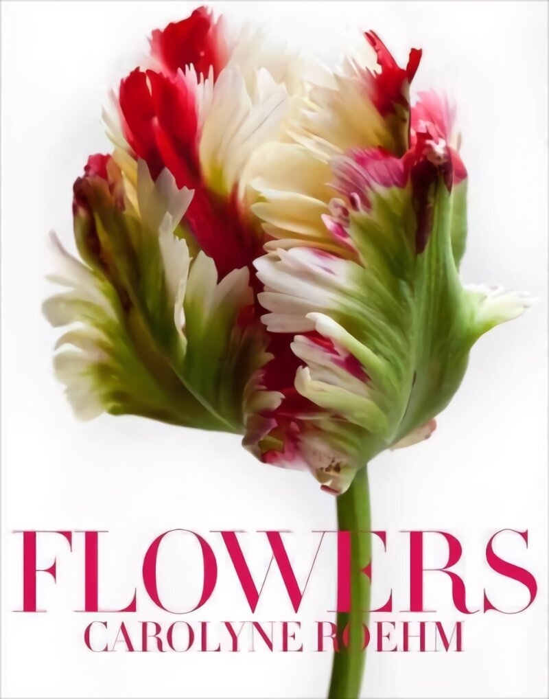 Flowers hind ja info | Aiandusraamatud | kaup24.ee