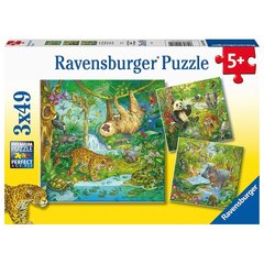 Pusle Ravensburger Džungli lõbu, 3x49 tk hind ja info | Pusled | kaup24.ee