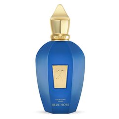 Parfüümvesi Xerjoff Blue Hope Edp meestele/naistele, 100ml hind ja info | Naiste parfüümid | kaup24.ee