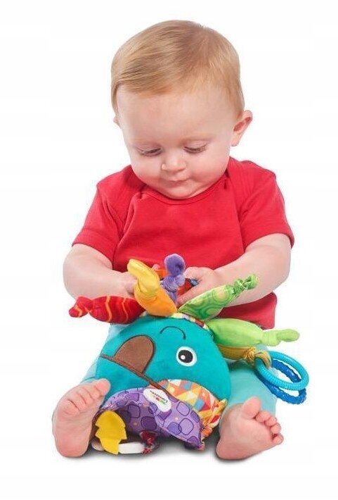 Lamaze laste mänguasi piraat hind ja info | Imikute mänguasjad | kaup24.ee