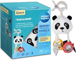 Vankrimänguasi Canpool Babiesboo цена и информация | Игрушки для малышей | kaup24.ee