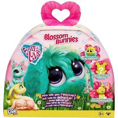 Mänguasi Little Live Pets Scruff a Luvs Blossom Bunnies jänkud цена и информация | Мягкие игрушки | kaup24.ee