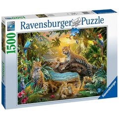 Ravensburger pusle 1500 tk, Savann ärkab ellu hind ja info | Pusled | kaup24.ee