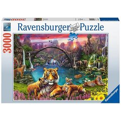 Ravensburger Pusle 3000 tk, Tiiger paradiisilises laguunis цена и информация | Пазлы | kaup24.ee