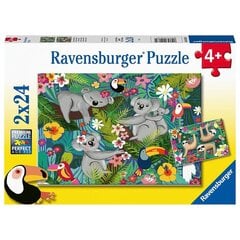 Ravensburger pusle 2x24 tk, Koaalad ja laiskloomad hind ja info | Pusled | kaup24.ee