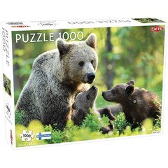 Тактический пазл 1000 шт., медвежья семья цена и информация | Пазлы | kaup24.ee