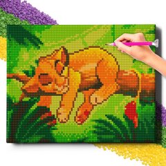 Teemantmosaiik 5D teemantmaal Oh kunst! Simba, 20x30 cm цена и информация | Алмазная мозаика | kaup24.ee