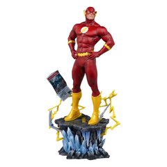 DC Comics The Flash hind ja info | Fännitooted mänguritele | kaup24.ee