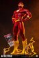 DC Comics The Flash цена и информация | Fännitooted mänguritele | kaup24.ee