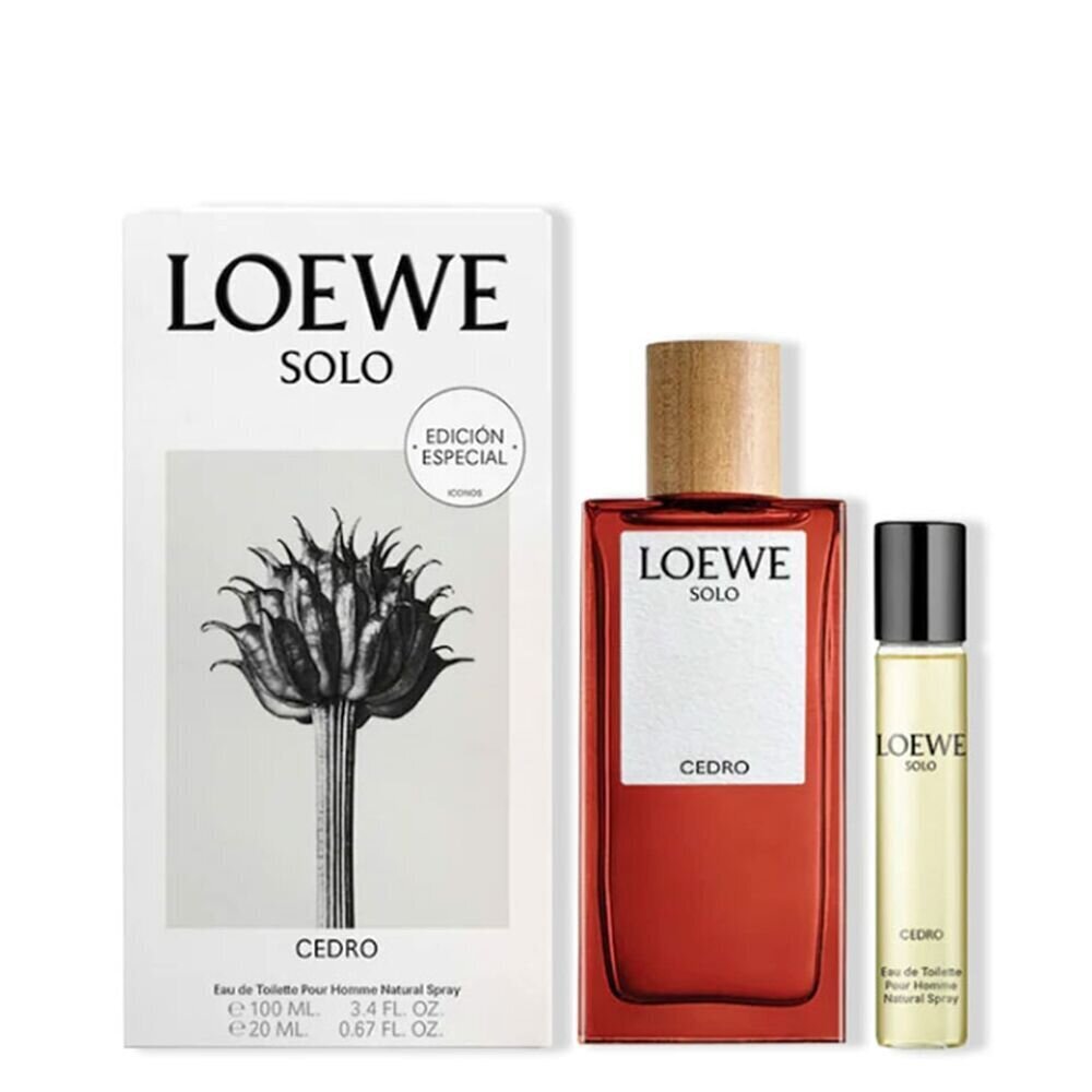 Komplekt Loewe Solo Loewe Cedro meestele hind ja info | Meeste parfüümid | kaup24.ee