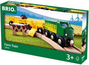 BRIO World 33748 Экспресс-поезд цена и информация | Игрушки для мальчиков | kaup24.ee