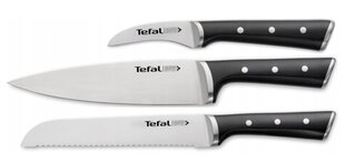 Nugade komplekt TEFAL Ice Force, 3 tk. hind ja info | Noad ja tarvikud | kaup24.ee