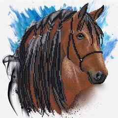 Набор для вышивания крестиком Needleart World Конь, 30,50х30,50 цена и информация | Принадлежности для вышивания | kaup24.ee