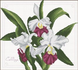 Набор для вышивки крестом Needleart World Букет орхидей, 33х29 цена и информация | Принадлежности для вышивания | kaup24.ee