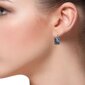 Naiste hõbedast kõrvarõngad kristallidega I.L.U.S hind ja info | Kõrvarõngad | kaup24.ee