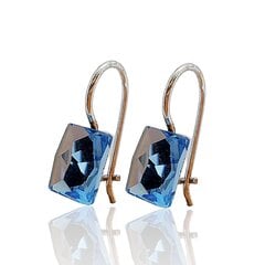 Naiste hõbedast kõrvarõngad kristallidega I.L.U.S hind ja info | Kõrvarõngad | kaup24.ee