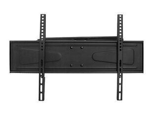 Lamex LXLCD77 TV wall mount up to 70" / 50kg hind ja info | Teleri seinakinnitused ja hoidjad | kaup24.ee
